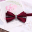 Burgundy Rhinestone Men’s Bow Tie