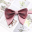 Pink Red Gradient Horn Shape Men’s Bow Tie